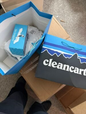 Clean Carts Disposable 2G - Clean Carts Winter Edition