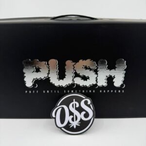 Push 2G Disposable With Screen