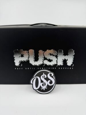 Push 2G Disposable With Screen