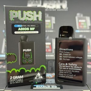 Push 2G Disposable With Screen