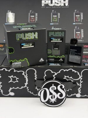 Push 2G Disposable With Screen