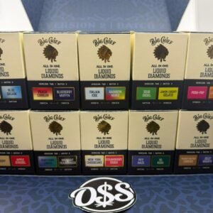 Big Chief Duo V2 2G Disposable