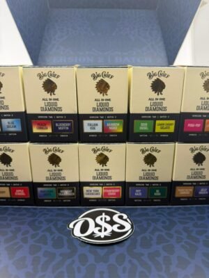 Big Chief Duo V2 2G Disposable