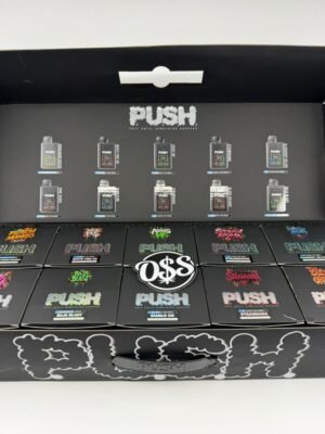Push 2G Disposable With Screen