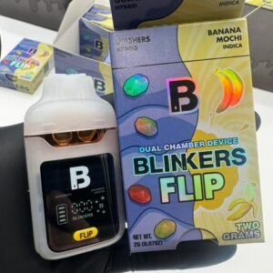 Blinkers Ice Cream Flip 2G Disposable