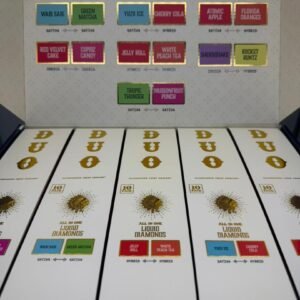 Big Chief Duo V3 2G Disposable