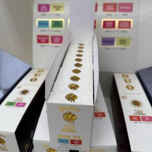 Big Chief Duo V3 2G Disposable