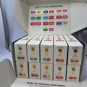 Big Chief Duo V3 2G Disposable