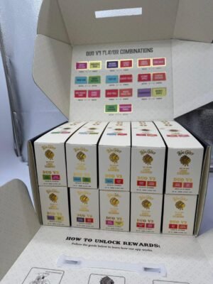 Big Chief Duo V3 2G Disposable