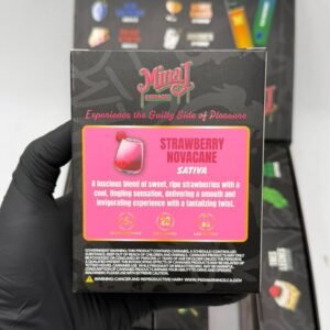 Minaj Extracts Disposable 2G