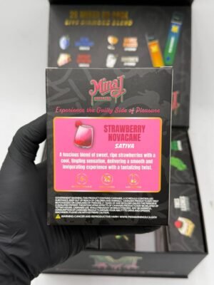 Minaj Extracts Disposable 2G