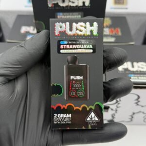 Push Disposable 2G With Screen - White Box Edition
