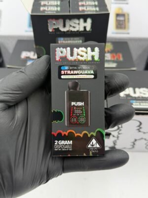 Push Disposable 2G With Screen - White Box Edition