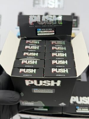 Push Disposable 2G With Screen - White Box Edition